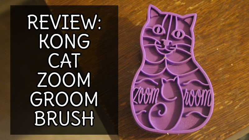 review-kong-cat-zoom-groom-brush