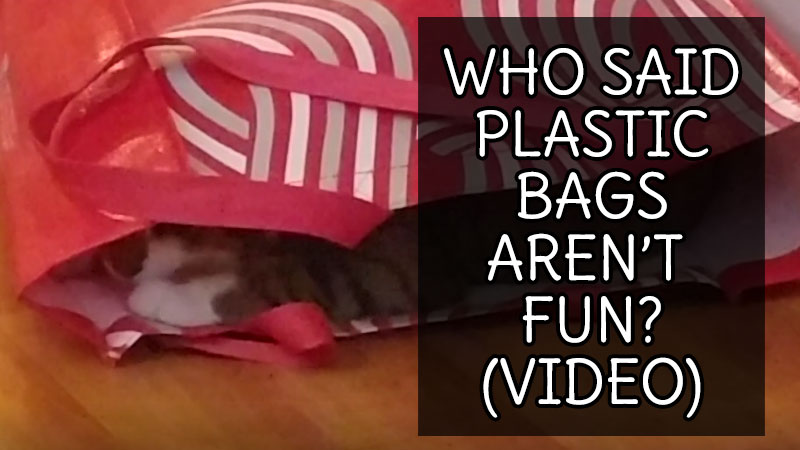 who-said-plastic-bags-arent-fun-video