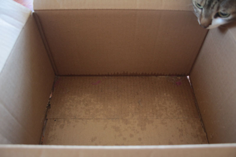 box-6