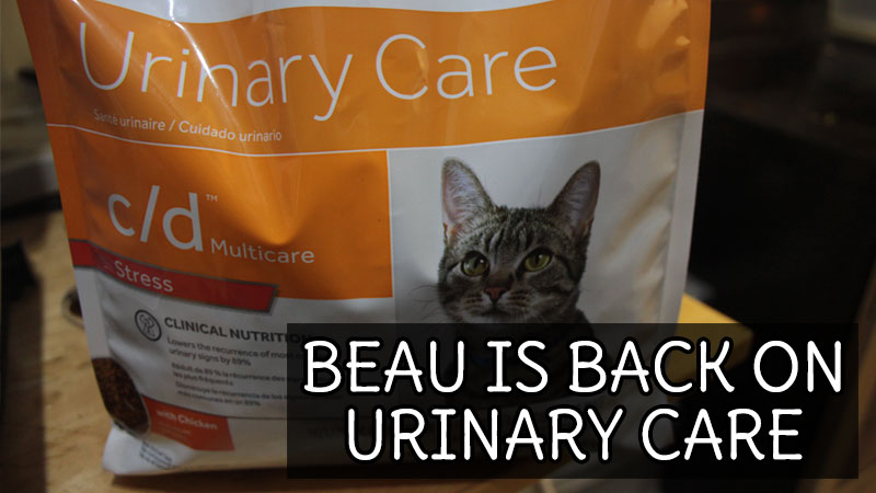 beau-is-back-on-urinary-care