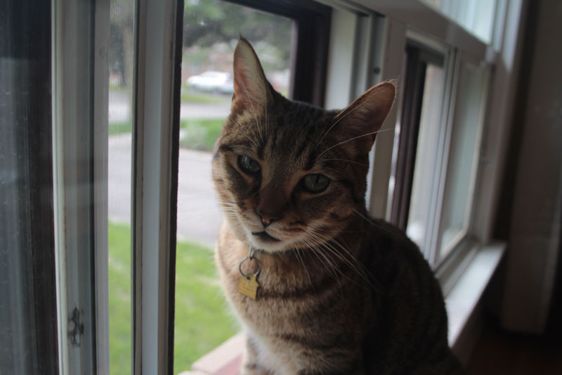 walker-window-cute-wind