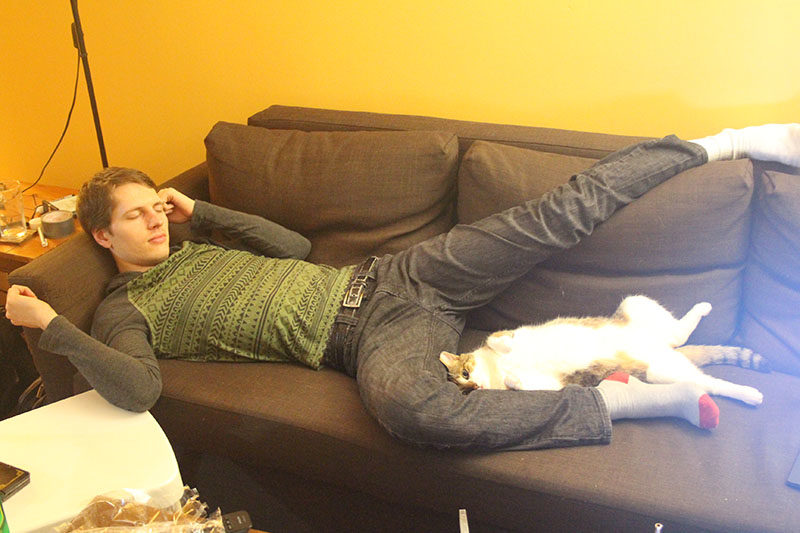 beau-sleeping-kenny-cat-back-lying-kitten