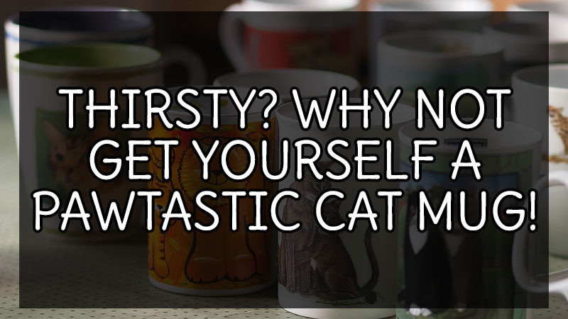 14 of the Cutest Cat Mugs!