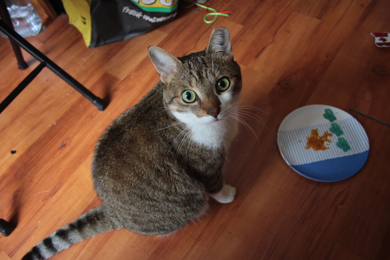 Beau’s Loving That Pumpkin!