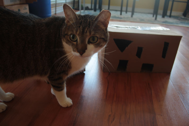 box-5