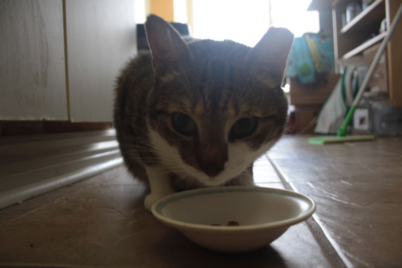 beau-drinking-broth