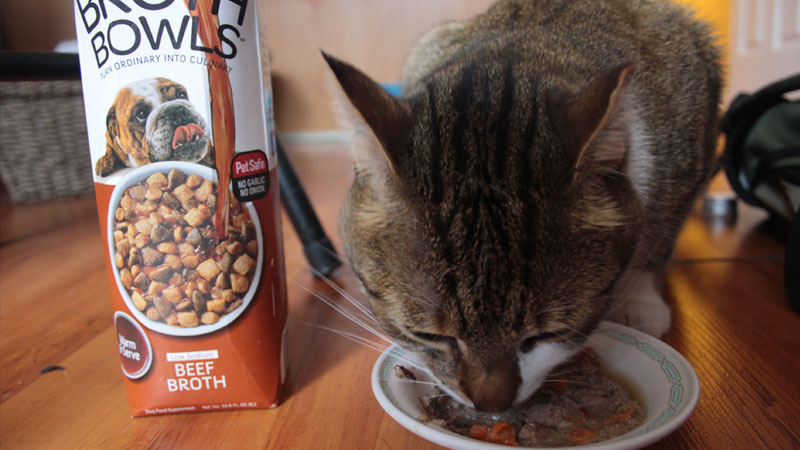 beef-broth-fruitables-pets-overload