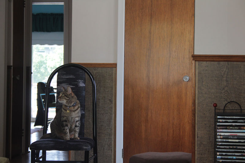 walker-sitting-on-chair