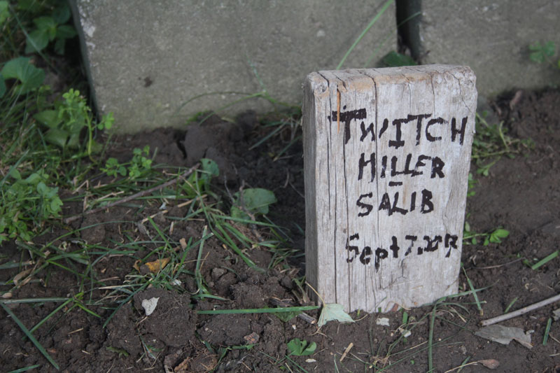 twitch-grave