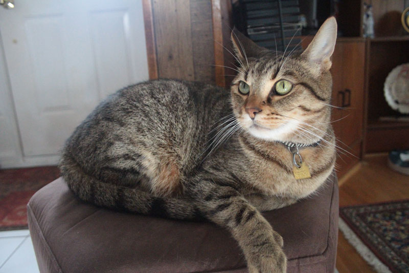 walker-sitting-on-throne