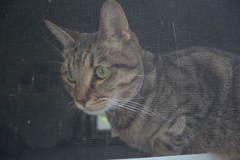 walker-sitting-window-cute