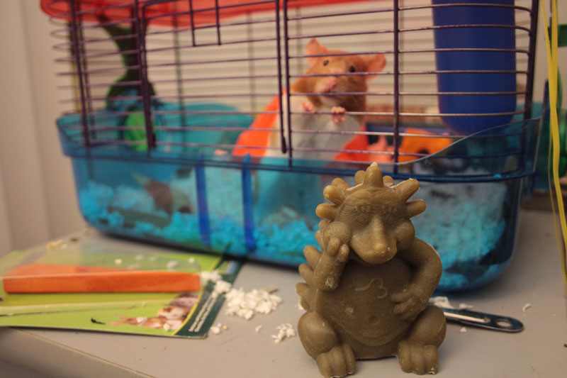 twitch-with-hedgehog-whimzee