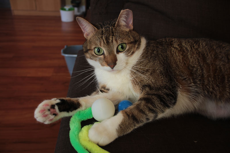 beau-wiggly-balls