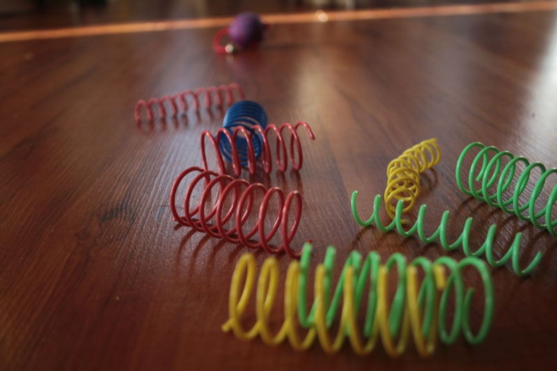 spot-springs
