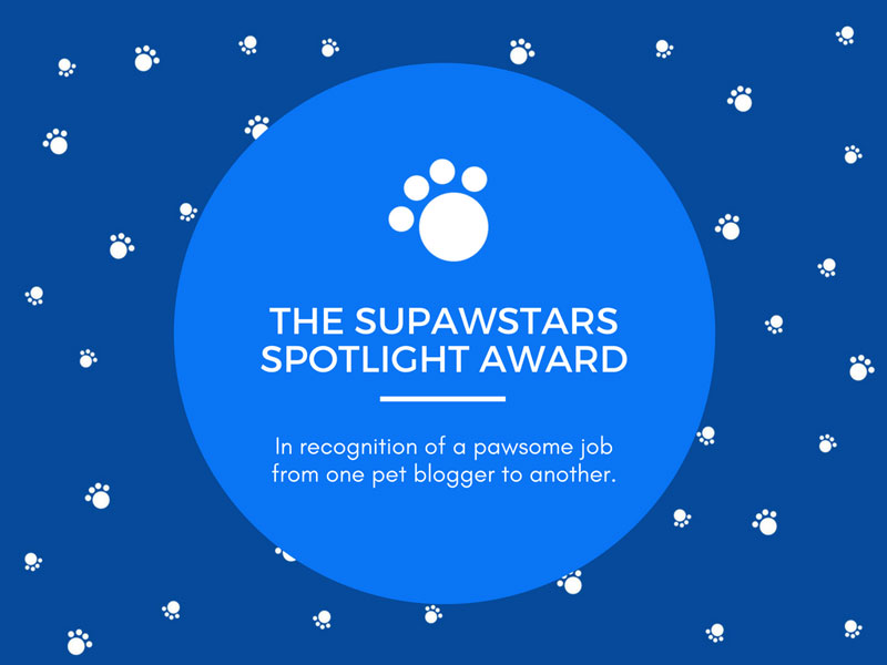 supawstars-spotlight-pet-blogger-award