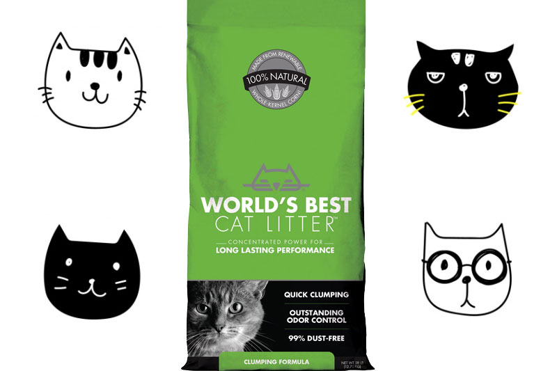 single-cat-worlds-best-banner