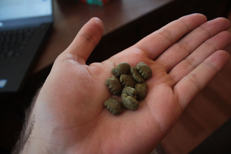 greenies-2