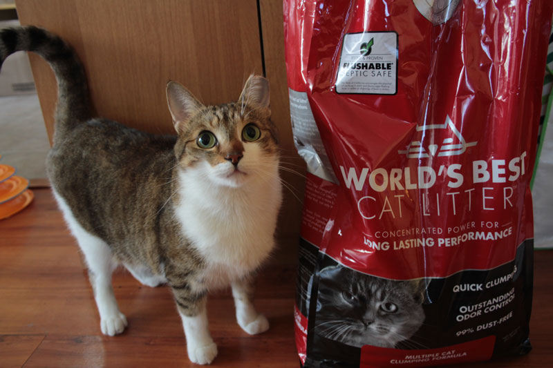 worlds-best-cat-litter-multi