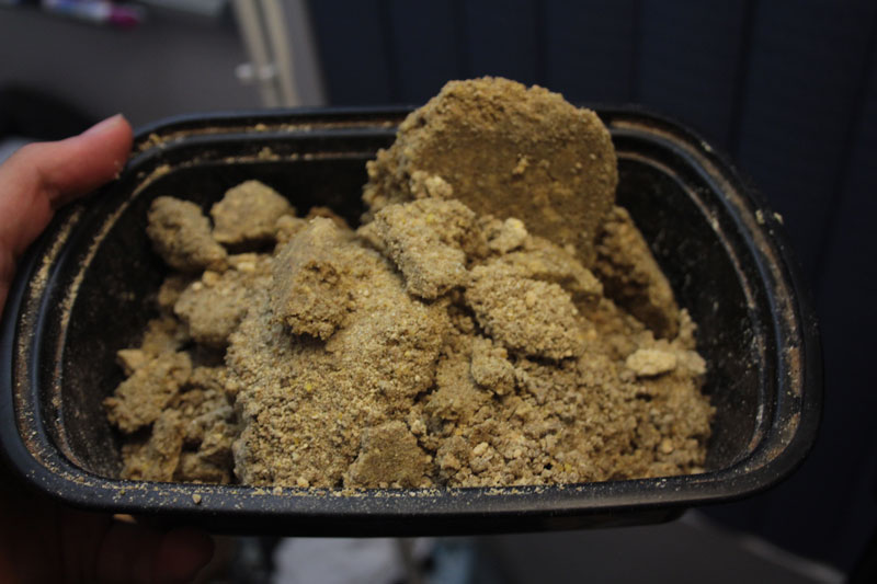 worlds-best-cat-litter-multi-clump