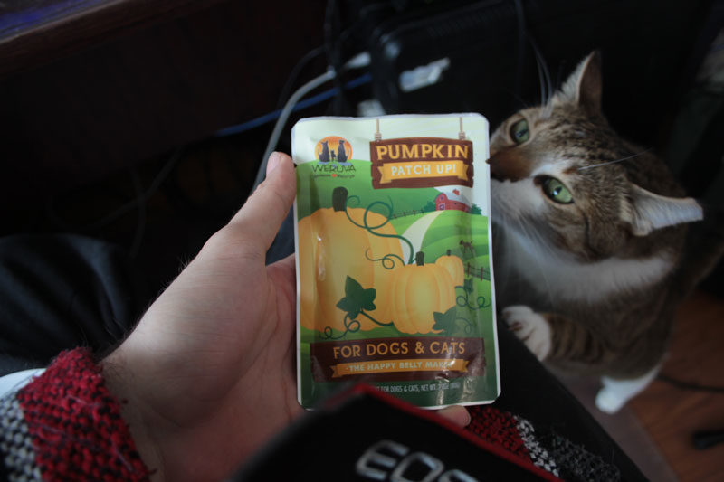 REVIEW: Weruva Pumpkin Patch Up!