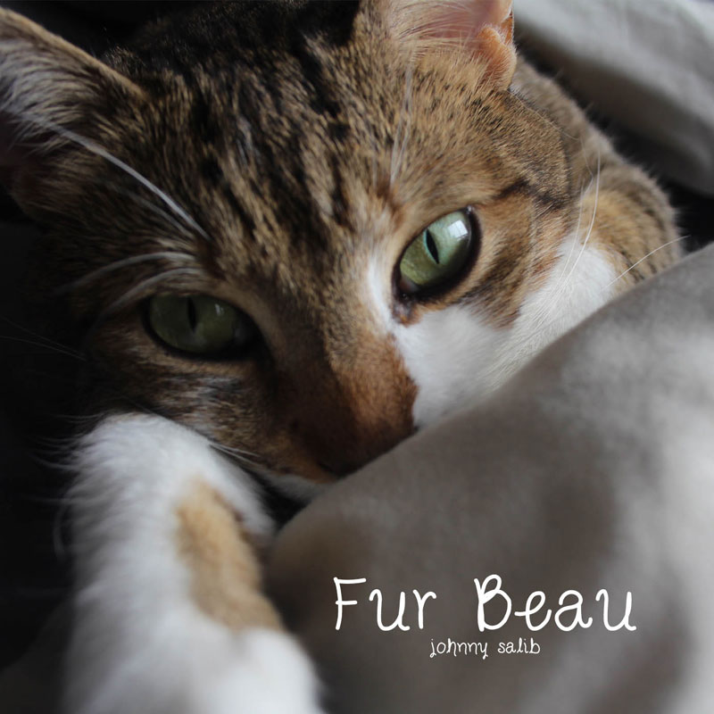 fur-beau