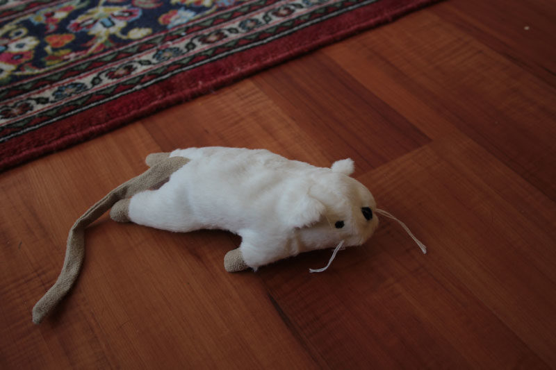 REVIEW: SPOT Big Mouse Bertha