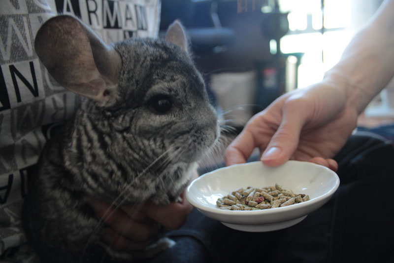 gary-being-fed