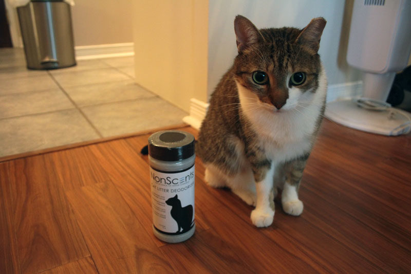 REVIEW: NonScents Odor Control Cat Litter Deodorizer