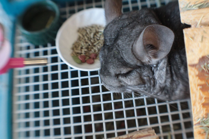 gary-from-above