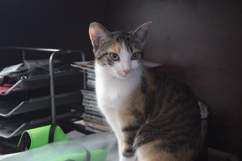 kalista-looking-pretty