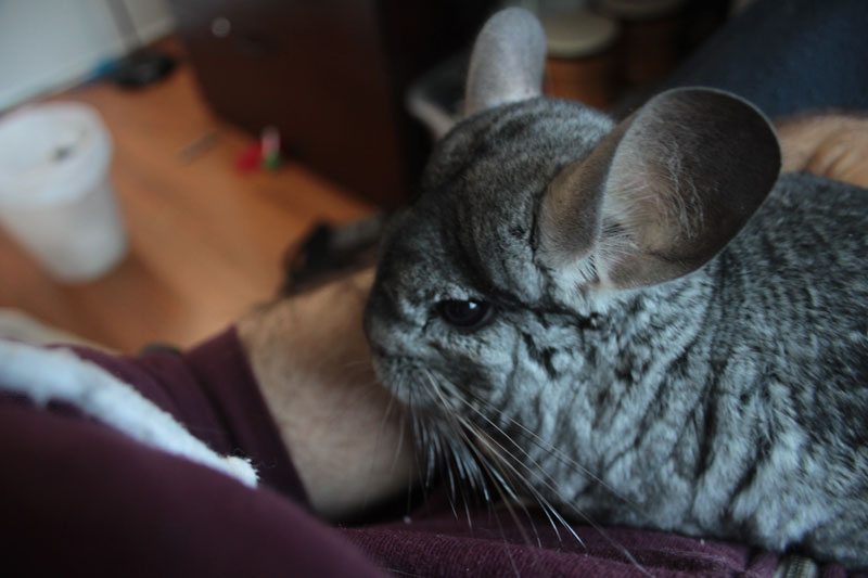 gary-cuddling