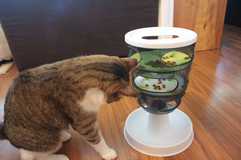 Our Favourite Cat Puzzle Feeders to Keep Your Cat Busy!