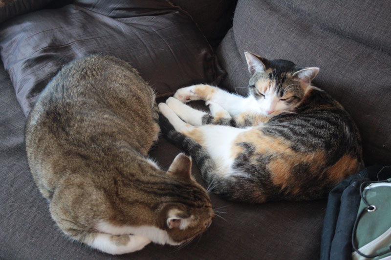 beau-and-kalista-sleeping-together-2