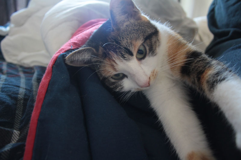 kalista-stretching-in-bed