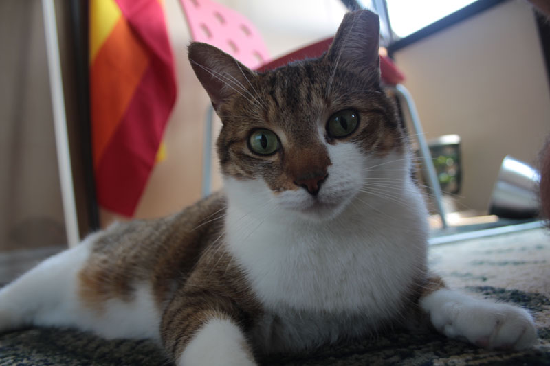 beau-close-up