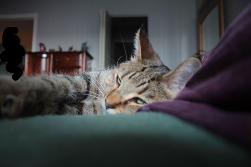 walker-sleeping-in-bed