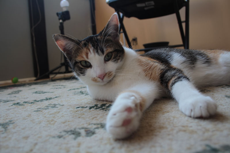 kalista-lying-on-floor