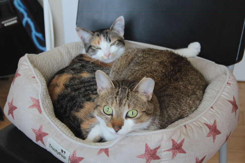 beau-and-kalista-in-bed