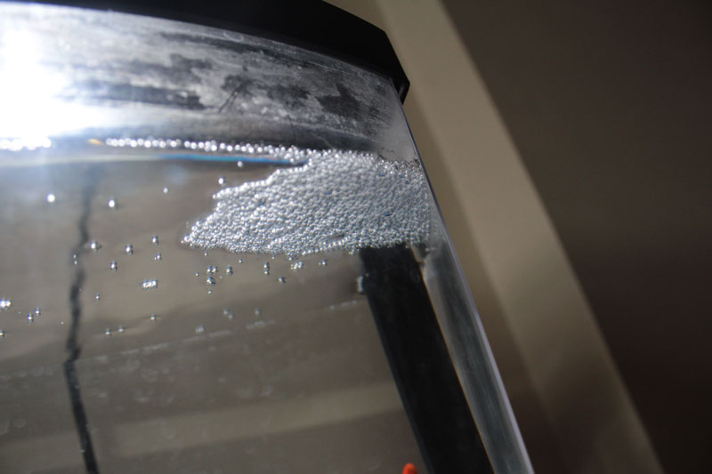 bubble-nest