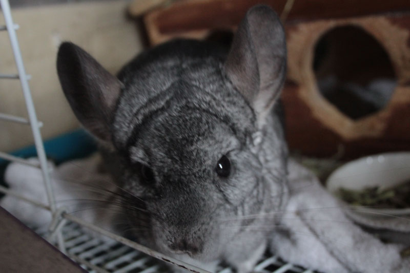 gary-close-up