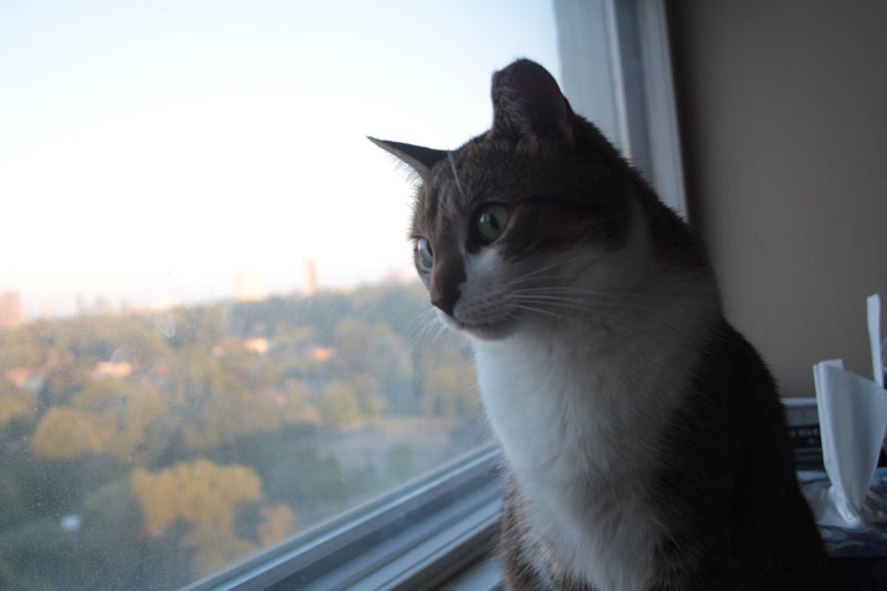 beau-portrait-shot