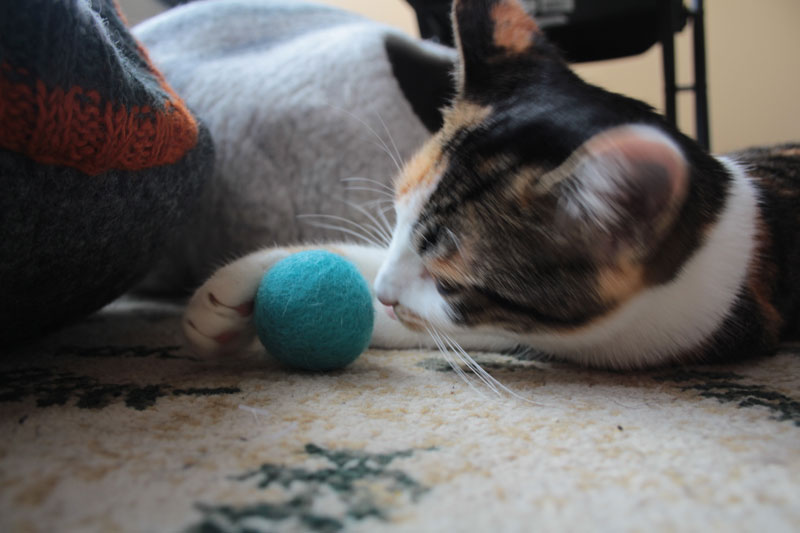 kalista-with-ball