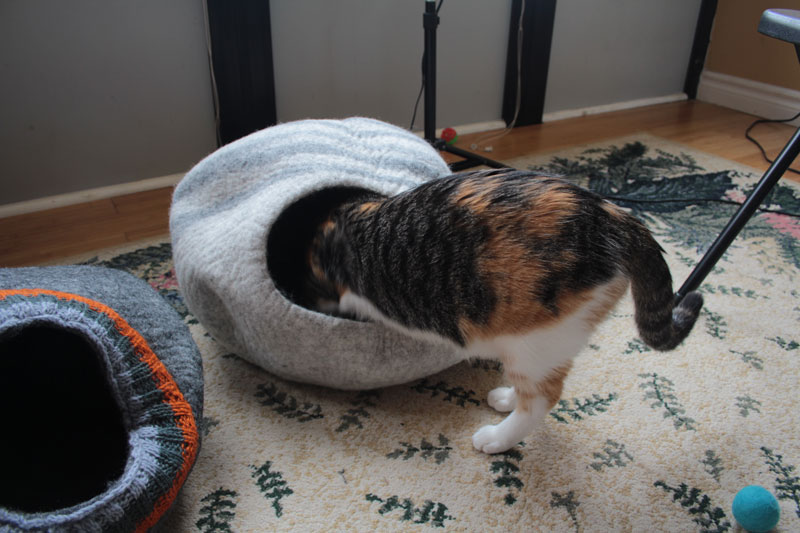 meowfia-1