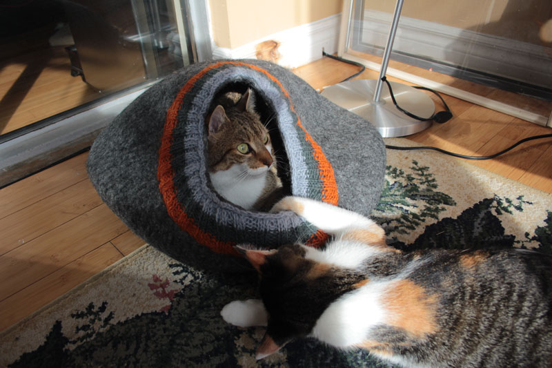 meowfia-4