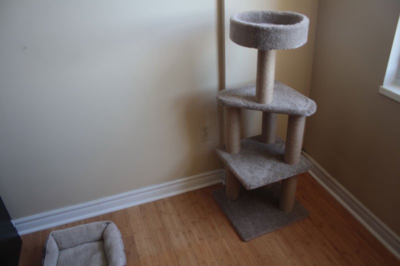 amazon-cat-tree-1