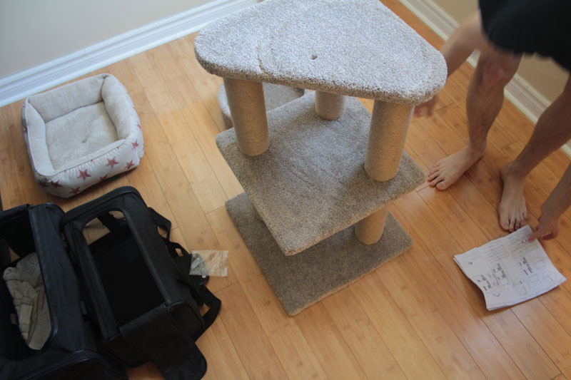 amazon-cat-tree-7