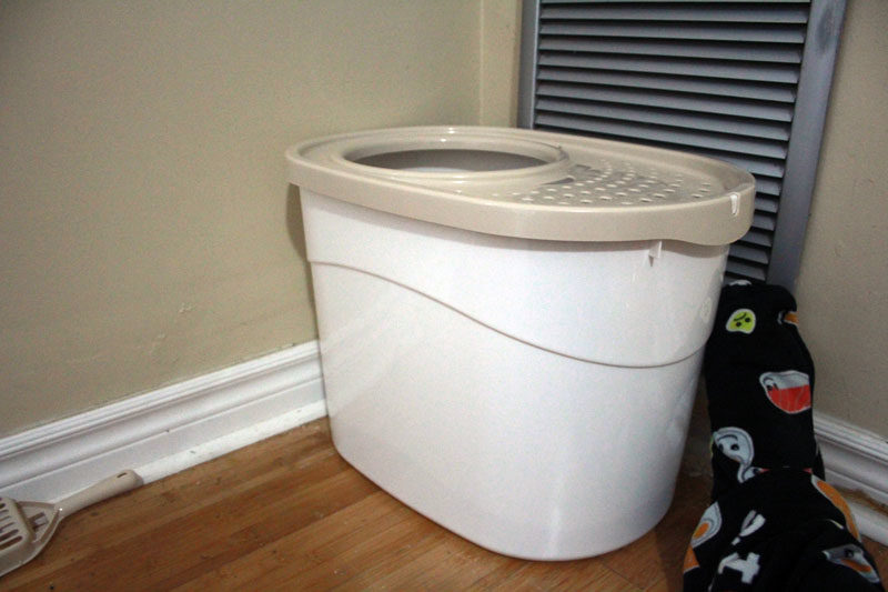 Our Favourite Top Entry Litter Boxes