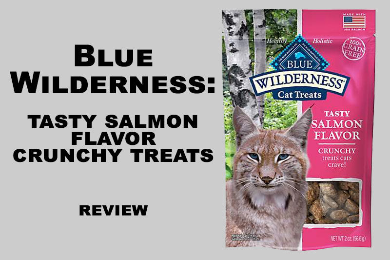 REVIEW: Blue Wilderness Tasty Salmon Flavor Treats