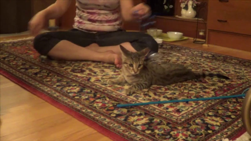 walker-playing-with-string
