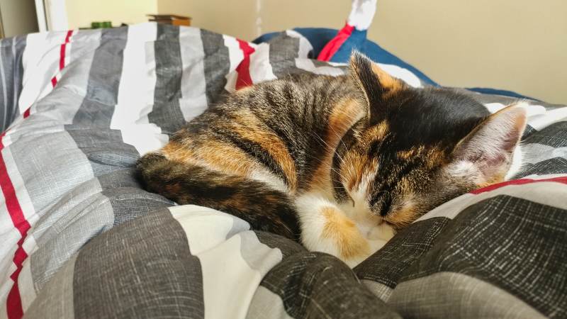 kalista-sleeping-with-me